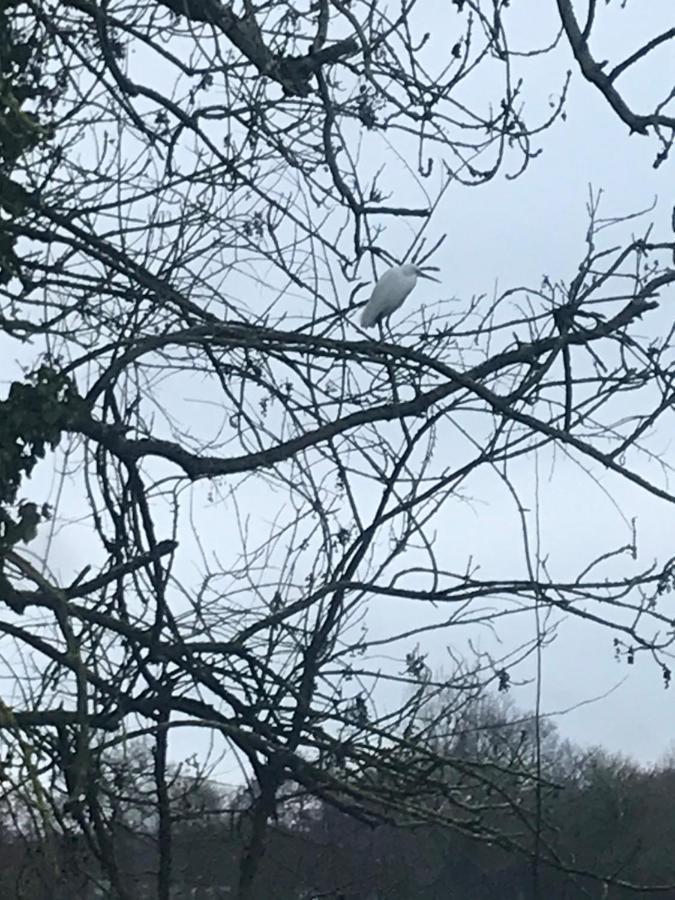 Reveil Aux Chants Des Oiseaux Asse-le-Riboul Εξωτερικό φωτογραφία