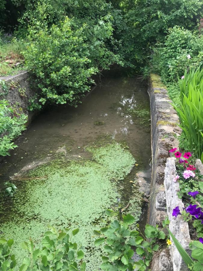 Reveil Aux Chants Des Oiseaux Asse-le-Riboul Εξωτερικό φωτογραφία